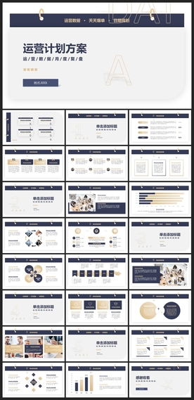 商务会议汇报项目介绍PPT
