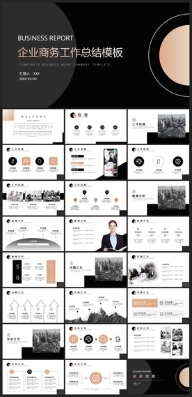 商务会议汇报项目介绍PPT