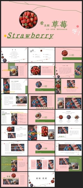 时尚文艺PPT画册素材