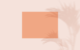 卡通莫兰迪装饰背景