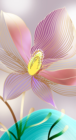 玄关荷花装饰画