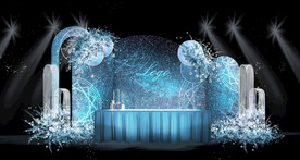 蓝色星空婚礼签到区