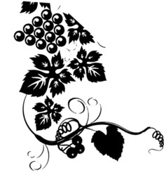 葡萄 红酒 手绘 黑白 图案