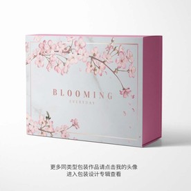 礼品包装盒设计