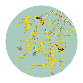 淡雅花鸟装饰画