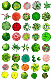 PS平面植物素材