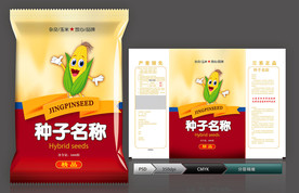 玉米种子(展开图)