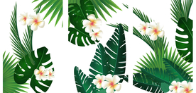 热带树叶三联画