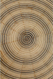 现代侘寂风木纹年轮玄关装饰画