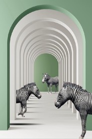 现代立体走廊斑马舞蹈装饰画