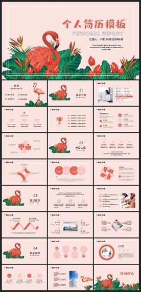 求职学生个人简历PPT素材