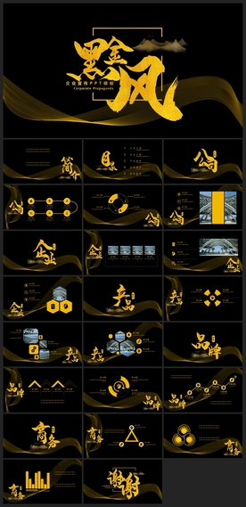 商务会议汇报项目介绍PPT