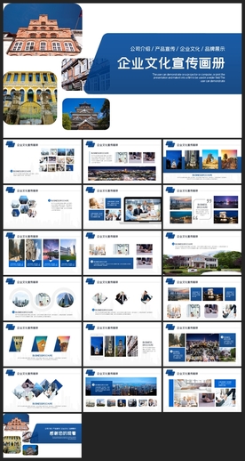 商务会议汇报项目介绍PPT