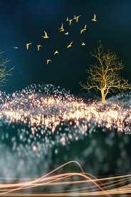 发财树星空装饰画