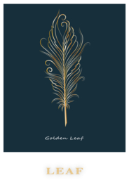 金色羽毛装饰画