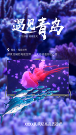 卡萨帝电视海报