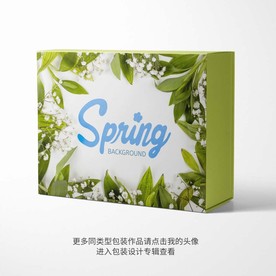 精美礼品包装盒平面设计图