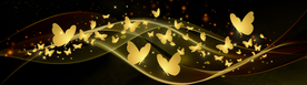 金色蝴蝶装饰画