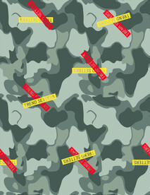 迷彩 英文 设计