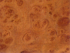 贴图 地板 素材 材质  实木