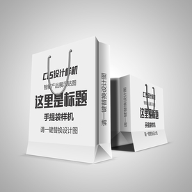 纸袋样机