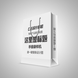 纸袋包装样机