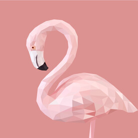 火烈鸟插画设计