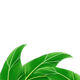 卡通绿色树叶元素