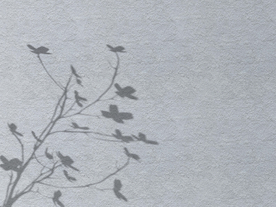 实用的阴影样机