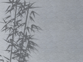 实用的阴影样机