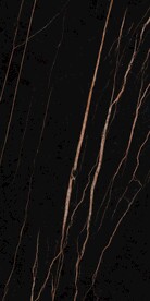 黑金花 金龙黑高清瓷砖设计