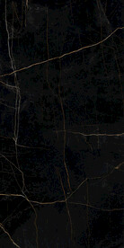 黑金花 金龙黑高清瓷砖设计