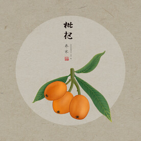 手绘枇杷