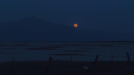 沙漠夜晚天空中的美丽月亮