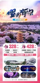 樱为有你微海报