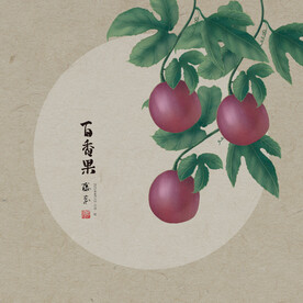 手绘百香果