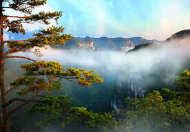 云雾缭绕松树云海壮丽河山4K