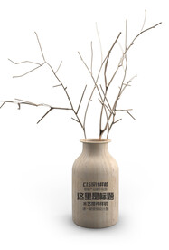 木头花瓶装饰样机