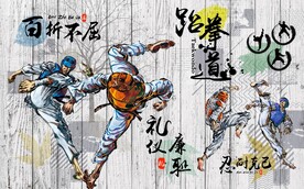 跆拳道健身体育运动背景墙