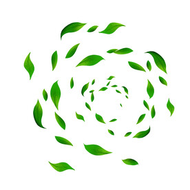 卡通装饰树叶叶片元素