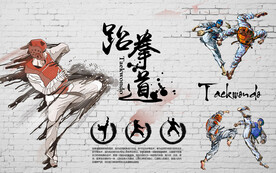 工装 跆拳道背景墙