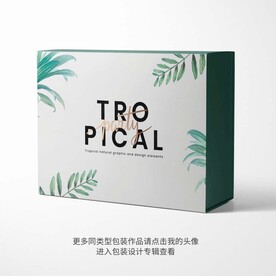 精品包装盒设计图