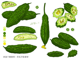 苦瓜手绘素材