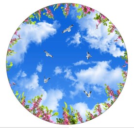 蓝天白云鸽子 圆形