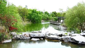 九龙山公园观湖亭实拍视频