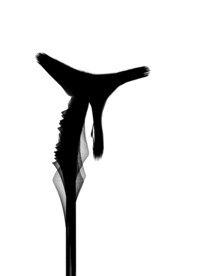 艺术黑白装饰画现代艺术简约家装