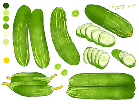黄瓜手绘素材