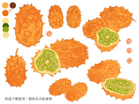 刺角瓜手绘素材