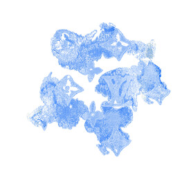 大牌 定位花 手绘 扎染