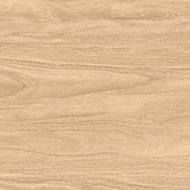 现代 新款地板 实木木纹 原木